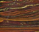 Polished Tiger Iron Stromatolite - ( Billion Years) #39194-1